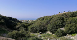 Land for Sale Edde Jbeil Area 1189Sqm