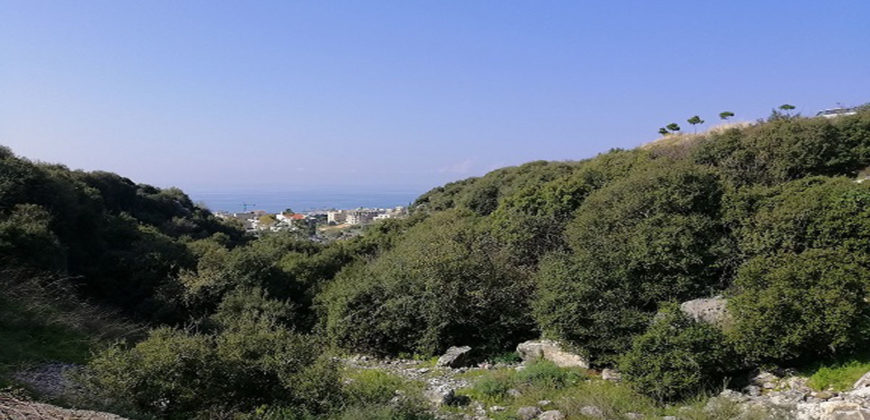 Land for Sale Edde Jbeil Area 1189Sqm