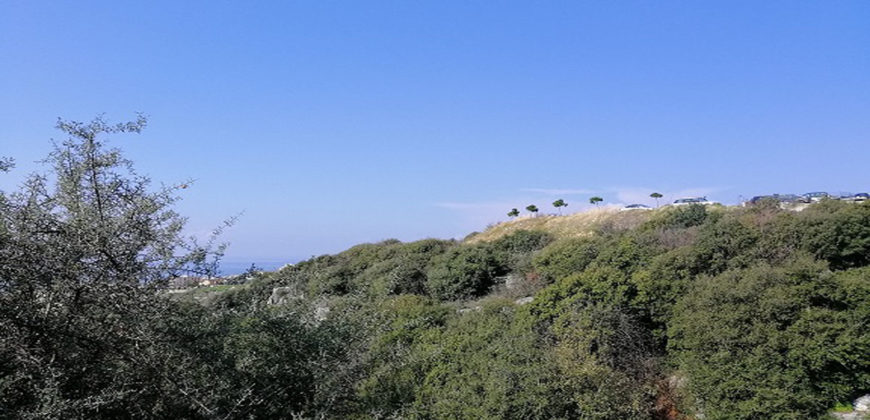 Land for Sale Edde Jbeil Area 1189Sqm