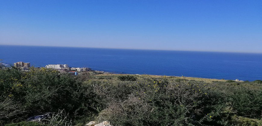 Land for Sale Monsef Jbeil Area 2580Sqm