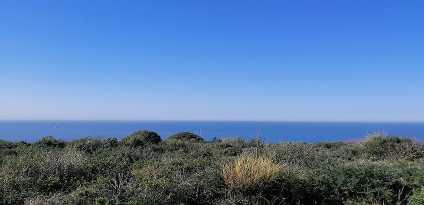 Land for Sale Monsef Jbeil Area 2580Sqm