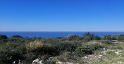 Land for Sale Monsef Jbeil Area 2580Sqm