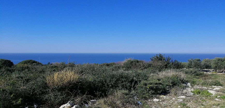 Land for Sale Monsef Jbeil Area 2580Sqm