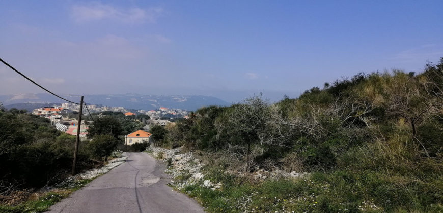Land for Sale Bejjeh Jbeil Area 3765Sqm