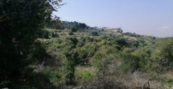 Land for Sale Bejjeh Jbeil Area 3765Sqm