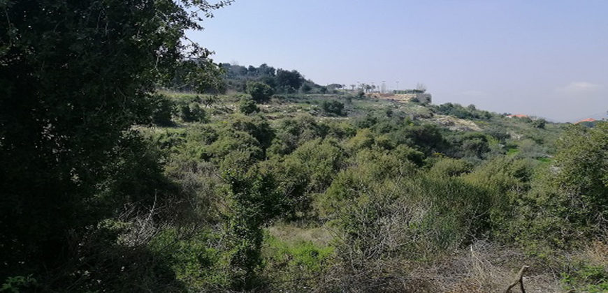 Land for Sale Bejjeh Jbeil Area 3765Sqm