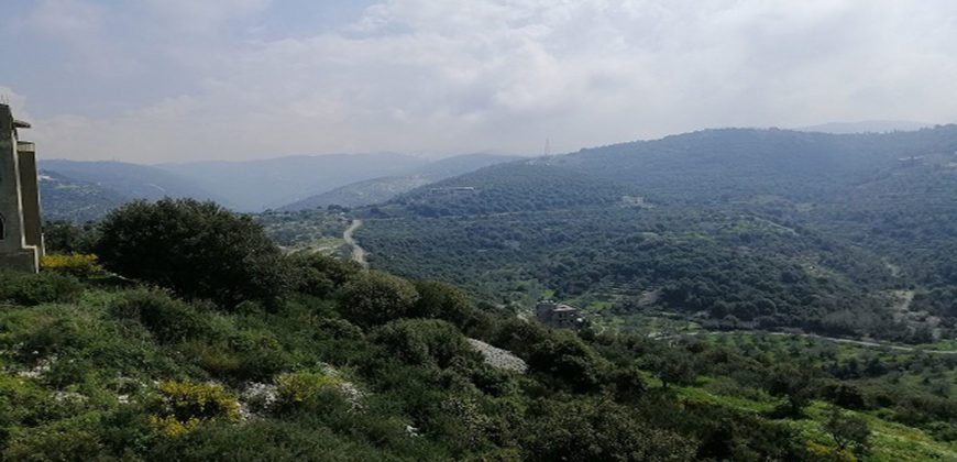 Land for Sale Bejjeh Jbeil Area 1741Sqm
