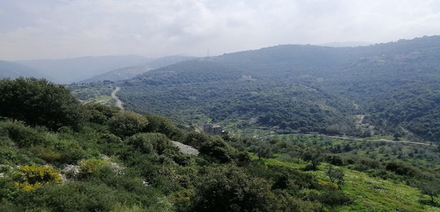 Land for Sale Bejjeh Jbeil Area 1741Sqm