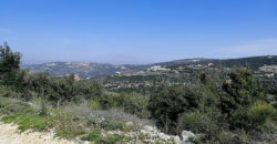 Land for Sale Kharbeh Jbeil area 8057Sqm