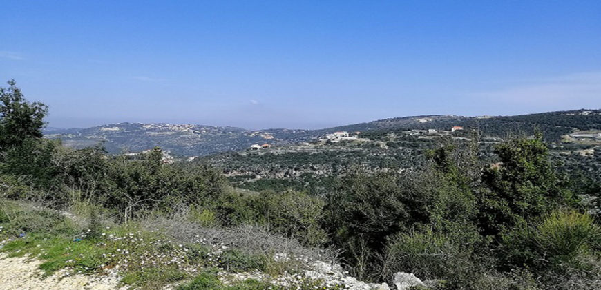Land for Sale Kharbeh Jbeil area 8057Sqm