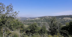 Land for Sale Kharbeh Jbeil area 8057Sqm