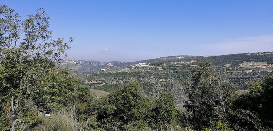 Land for Sale Kharbeh Jbeil area 8057Sqm