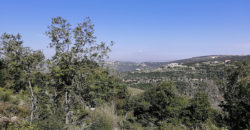 Land for Sale Kharbeh Jbeil area 8057Sqm