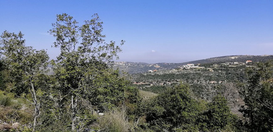 Land for Sale Kharbeh Jbeil area 8057Sqm