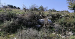 Land for Sale Kharbeh Jbeil area 8057Sqm