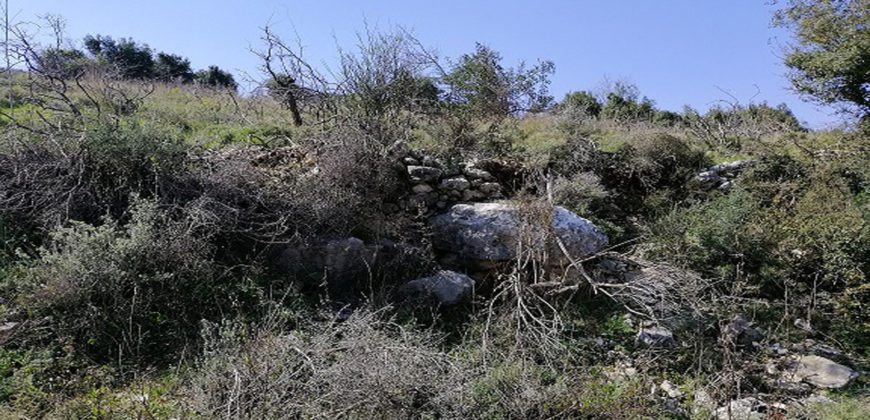 Land for Sale Kharbeh Jbeil area 8057Sqm