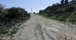 Land for Sale Kharbeh Jbeil area 8057Sqm