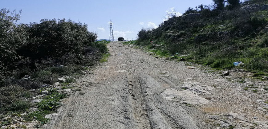 Land for Sale Kharbeh Jbeil area 8057Sqm