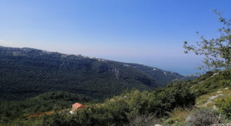 Land for Sale Blat Jbeil ( Mdamit ) Area 863Sqm