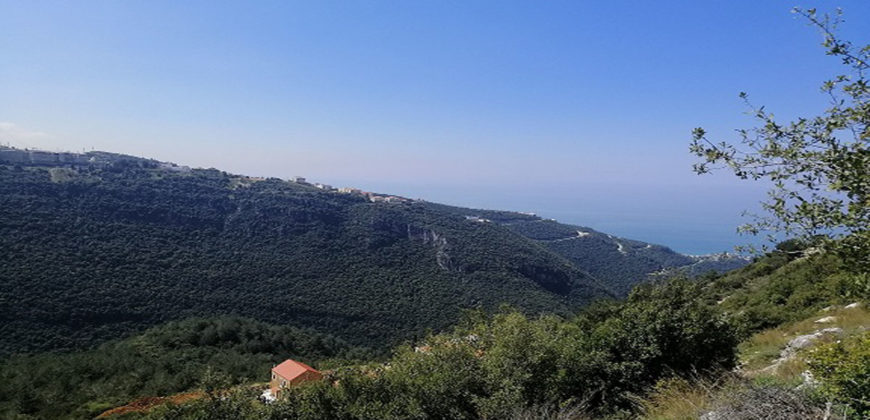 Land for Sale Blat Jbeil ( Mdamit ) Area 863Sqm