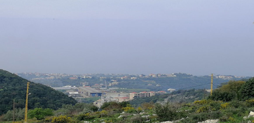 Land for Sale Gharzouz Jbeil Area 3550Sqm