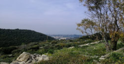 Land for Sale Gharzouz Jbeil Area 3550Sqm