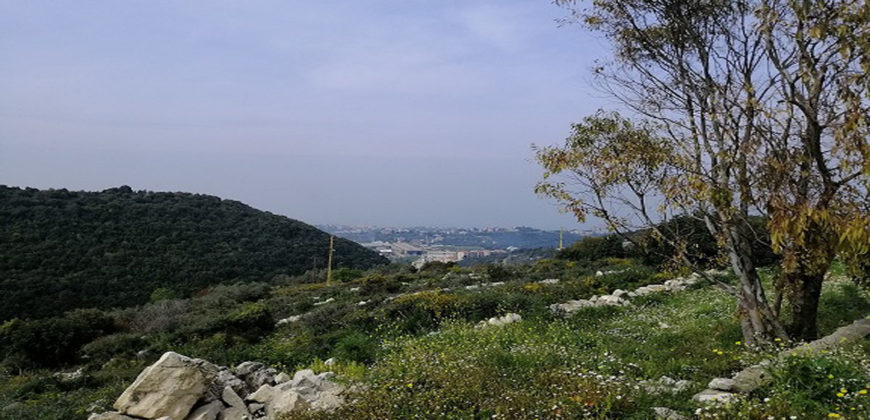 Land for Sale Gharzouz Jbeil Area 3550Sqm