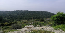Land for Sale Gharzouz Jbeil Area 3550Sqm