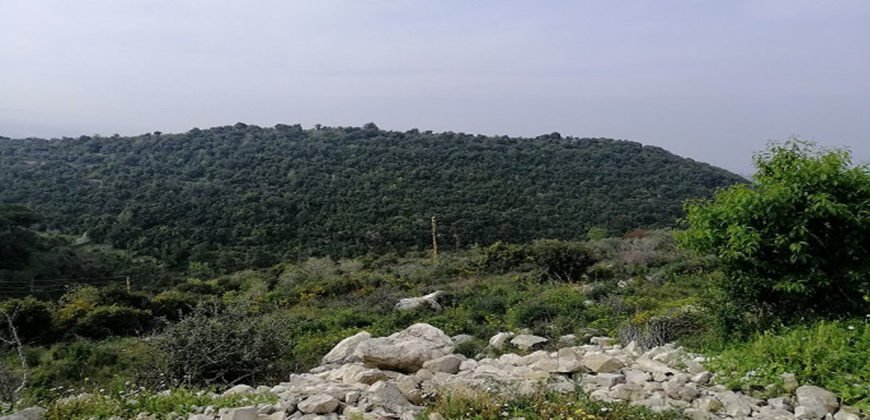 Land for Sale Gharzouz Jbeil Area 3550Sqm