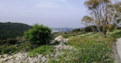 Land for Sale Gharzouz Jbeil Area 3550Sqm