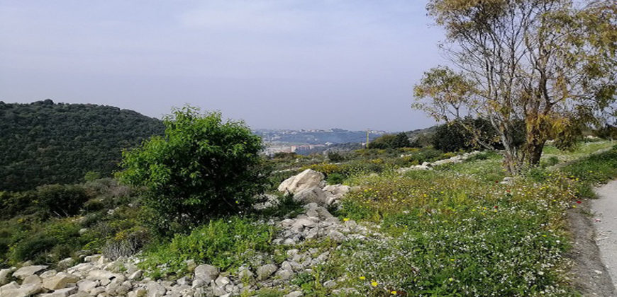 Land for Sale Gharzouz Jbeil Area 3550Sqm