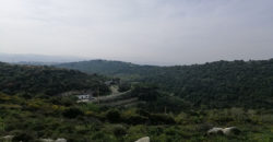 Land for Sale Gharzouz Jbeil Area 3550Sqm