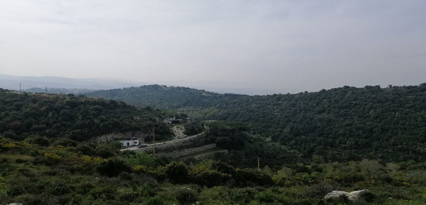 Land for Sale Gharzouz Jbeil Area 3550Sqm