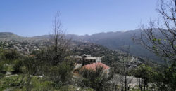 Land for Sale Ehmej Jbeil Area 786Sqm
