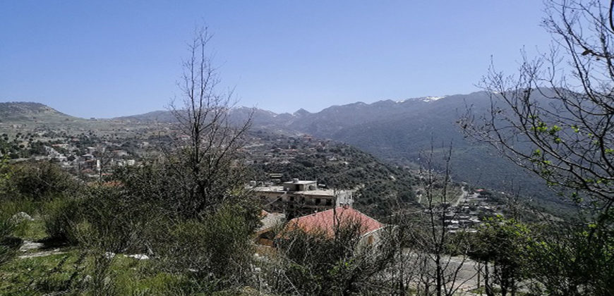Land for Sale Ehmej Jbeil Area 786Sqm