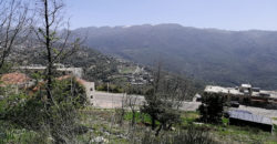 Land for Sale Ehmej Jbeil Area 786Sqm