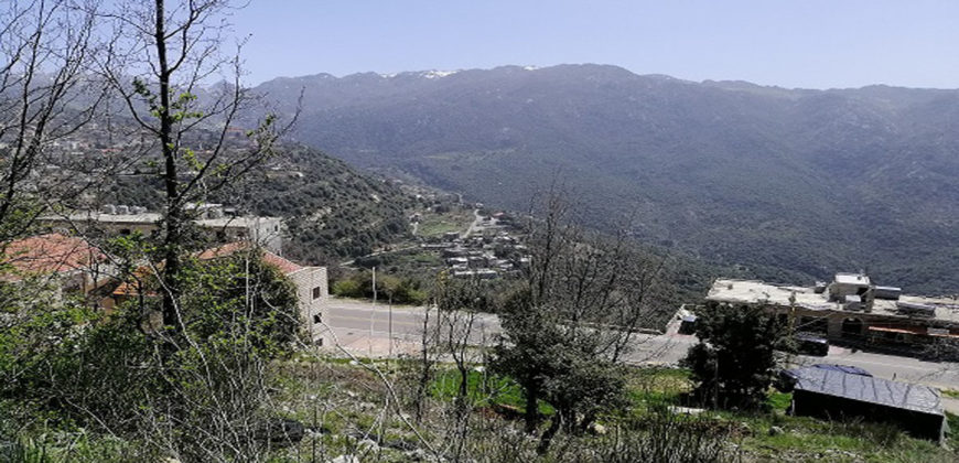Land for Sale Ehmej Jbeil Area 786Sqm