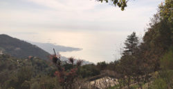 Land for Sale Maarab Kesserwan Area 11702Sqm