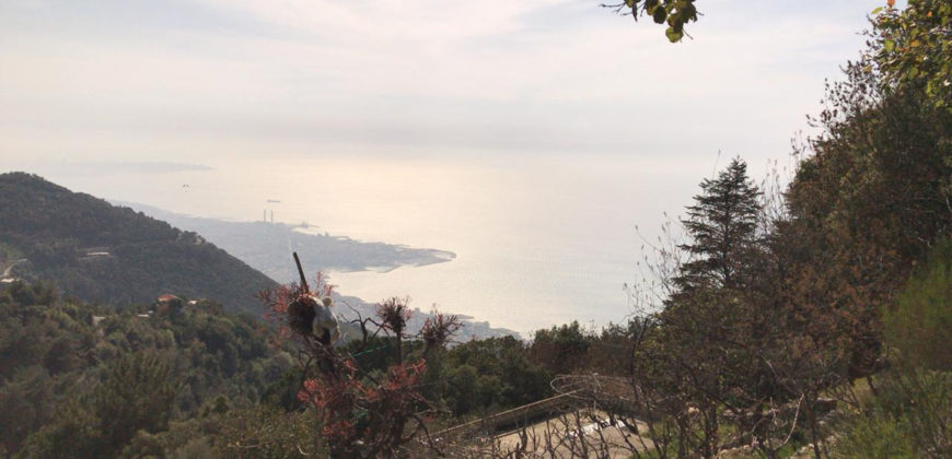 Land for Sale Maarab Kesserwan Area 11702Sqm
