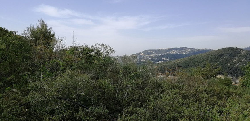 Land for Sale Maarab Kesserwan Area 11702Sqm