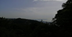 Land for Sale Maarab Kesserwan Area 11702Sqm