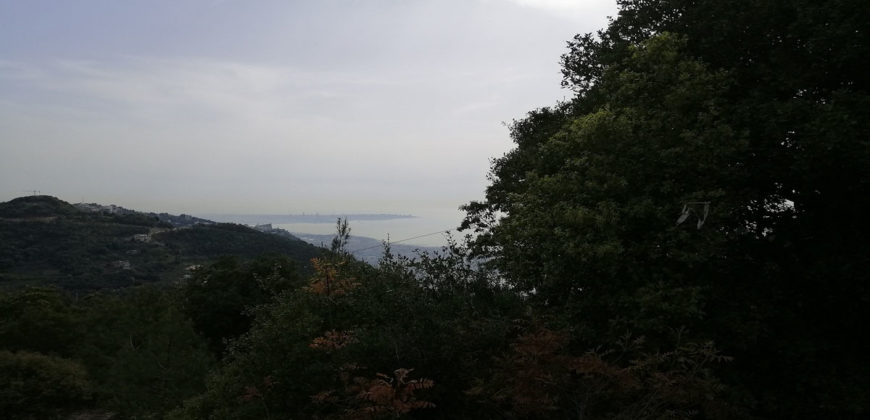 Land for Sale Maarab Kesserwan Area 11702Sqm