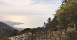 Land for Sale Maarab Kesserwan Area 11702Sqm