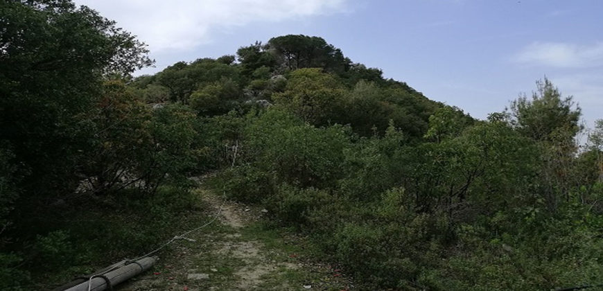 Land for Sale Maarab Kesserwan Area 11702Sqm