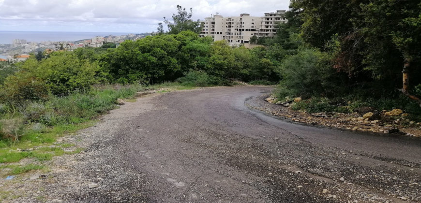 Land for Sale Chnaneir Kesserwan Area 1187Sqm