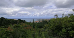 Land for Sale Chnaneir Kesserwan Area 1187Sqm