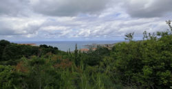 Land for Sale Chnaneir Kesserwan Area 1187Sqm