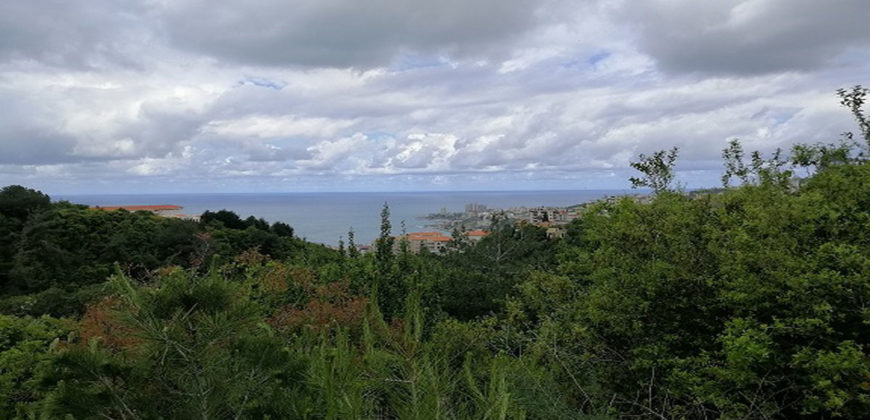 Land for Sale Chnaneir Kesserwan Area 1187Sqm