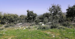 Land for Sale Kharbeh Jbeil Area 870Sqm