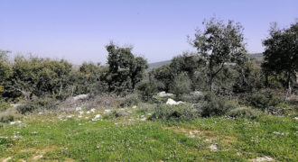 Land for Sale Kharbeh Jbeil Area 870Sqm